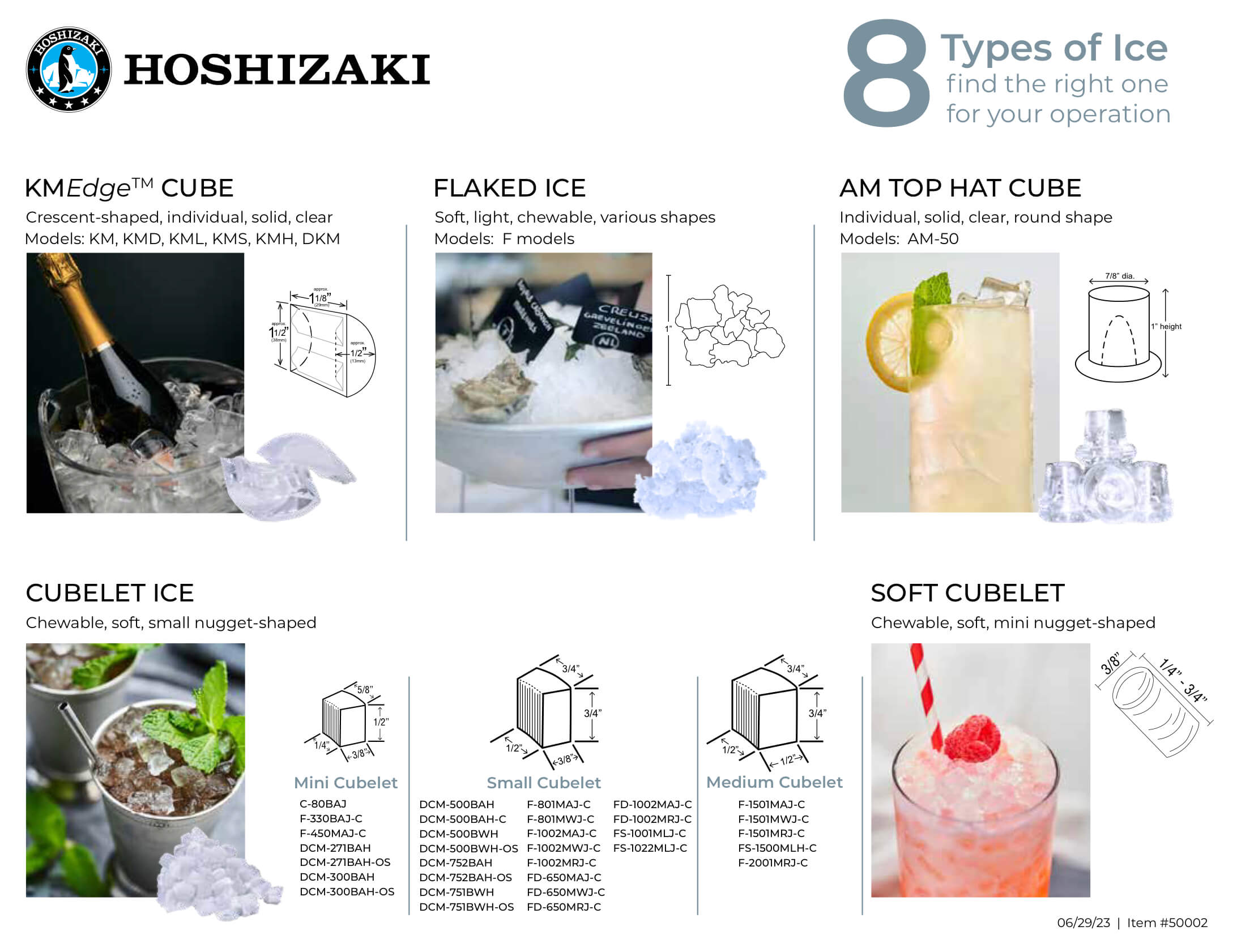 Hoshizaki – Ice Type Flyer